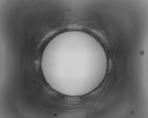 X0000102231254200807250800