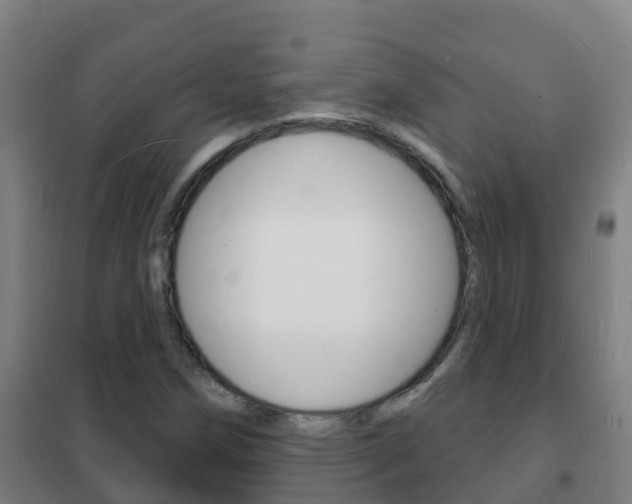 X0000102231258200807250800