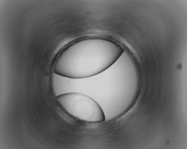 X0000102231259200807250800