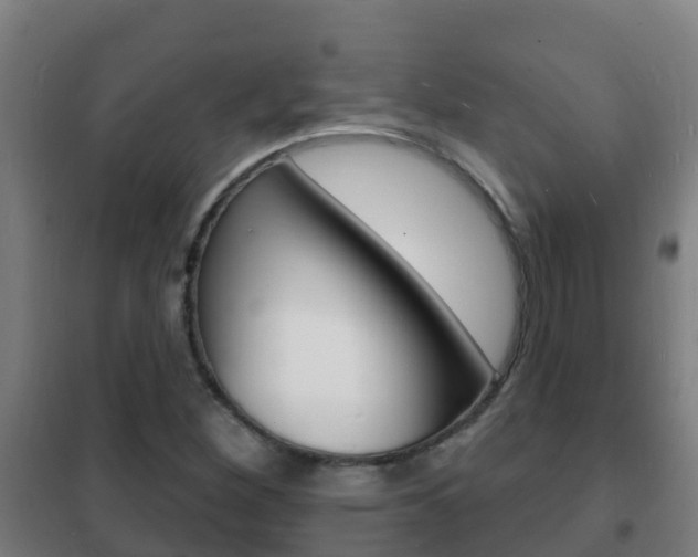 X0000102231260200807250800