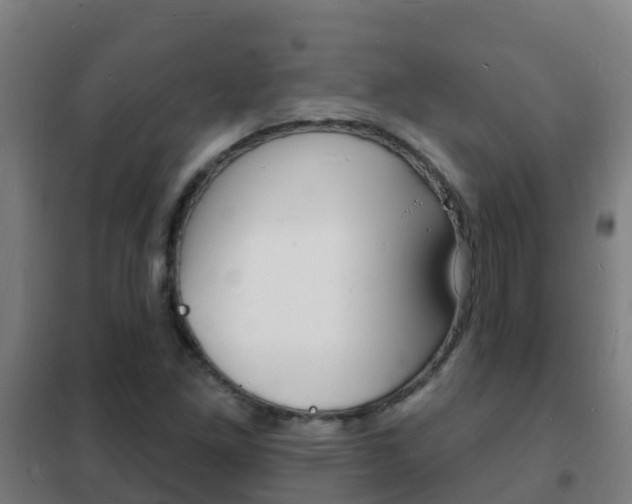 X0000102231261200807250800