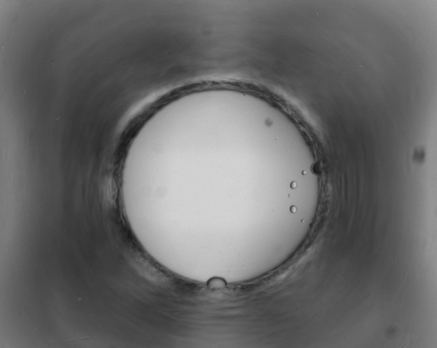X0000102231262200807250800