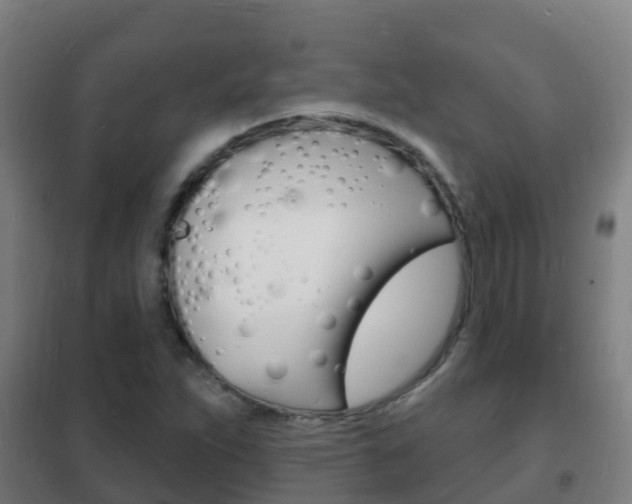 X0000102231263200807250800
