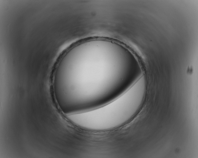 X0000102231264200807250800