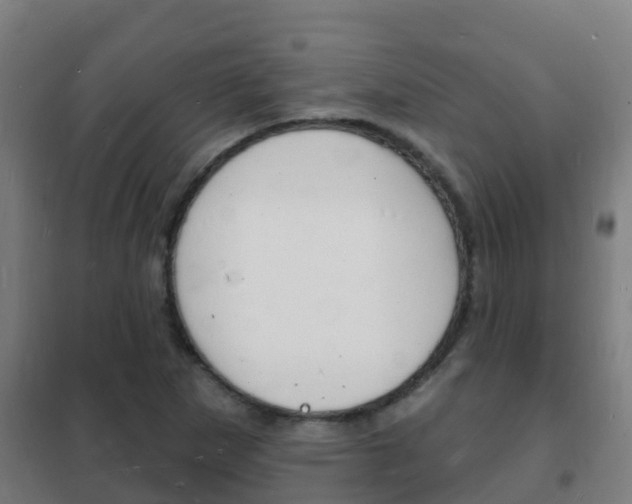 X0000102231265200807250800