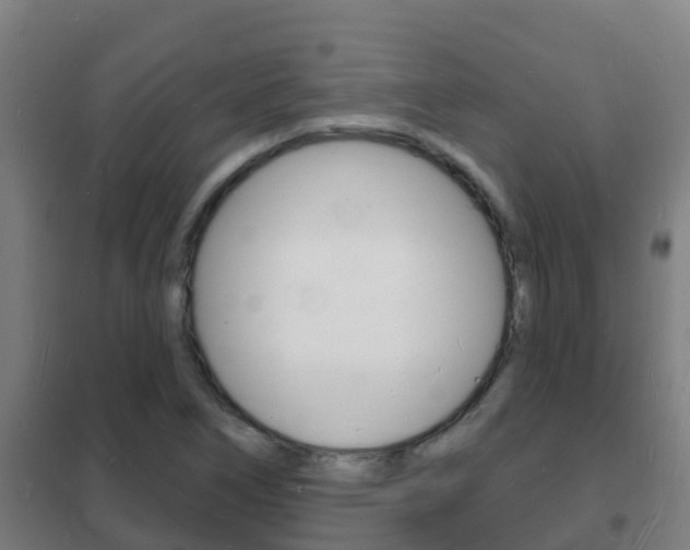 X0000102231266200807250800