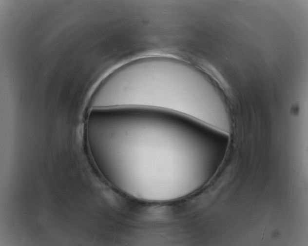 X0000102231268200807250800