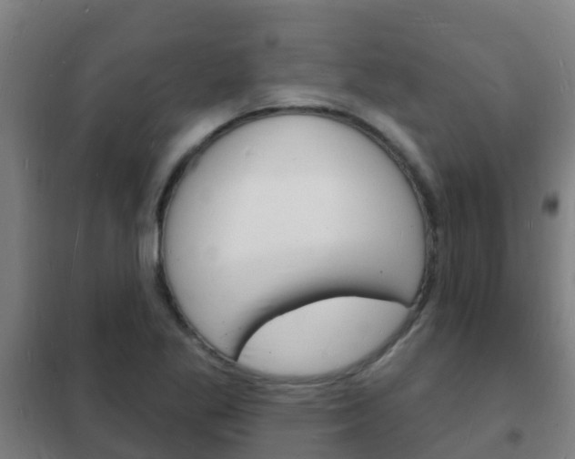X0000102231269200807250800