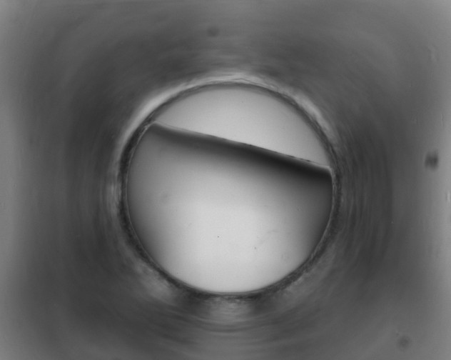 X0000102231270200807250800