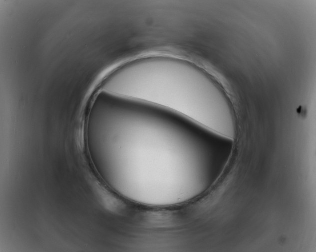 X0000102231272200807250800