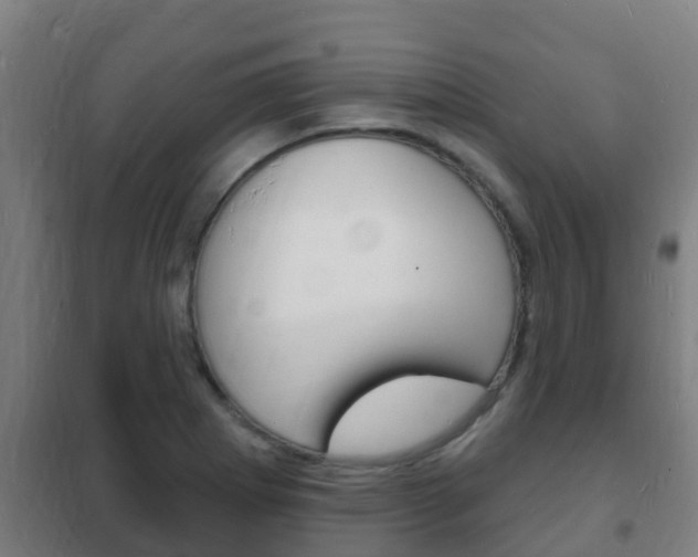 X0000102231273200807250800