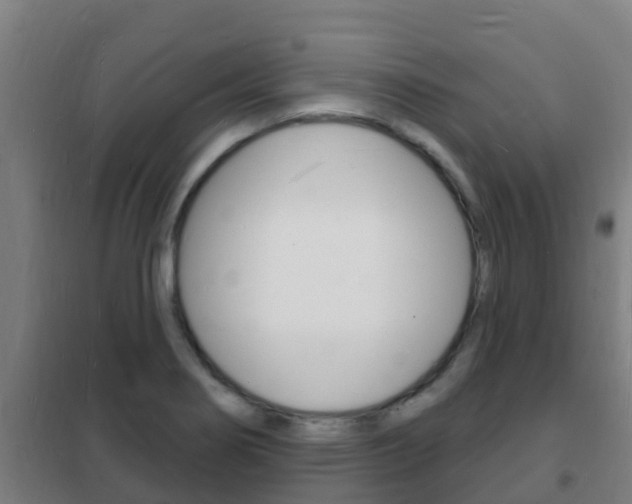 X0000102231274200807250800