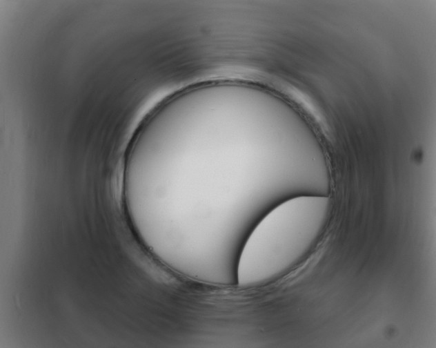 X0000102231275200807250800