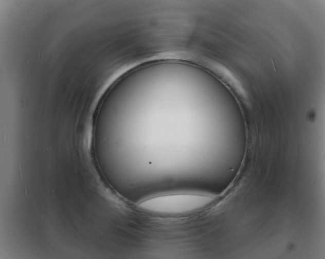 X0000102231276200807250800