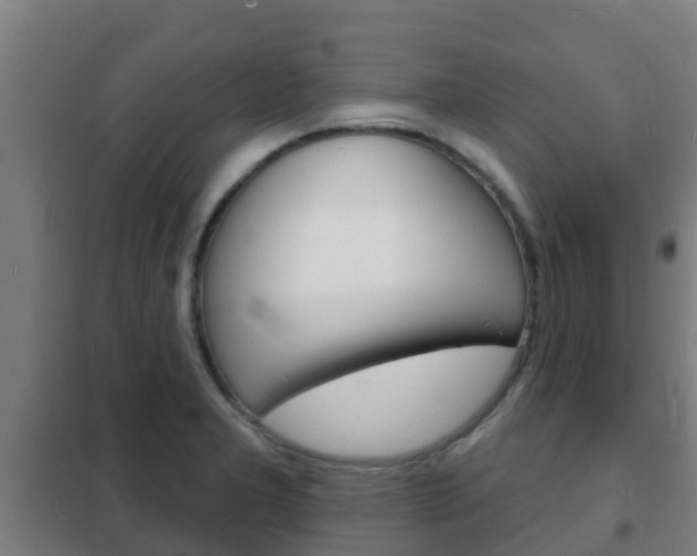 X0000102231277200807250800
