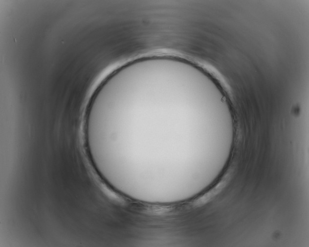 X0000102231278200807250800
