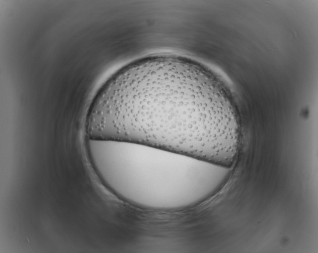 X0000102231279200807250800