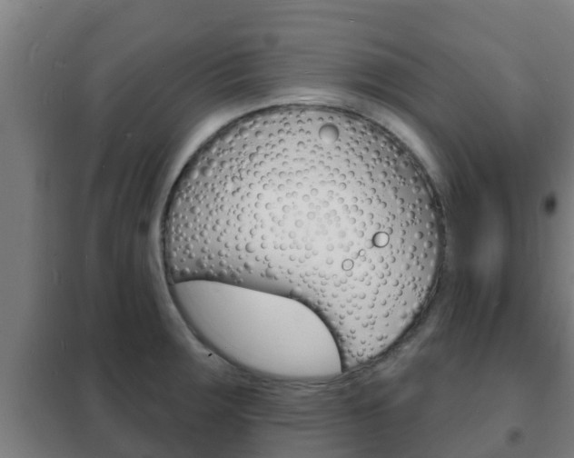 X0000102231283200807250800