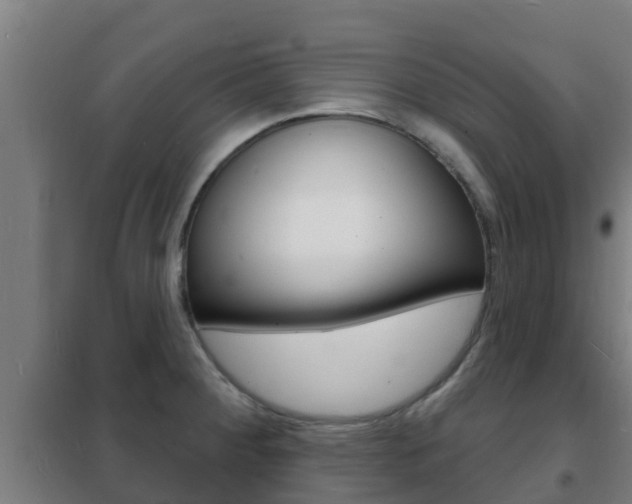 X0000102231284200807250800