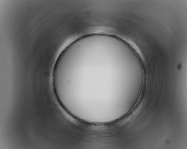 X0000102231285200807250800