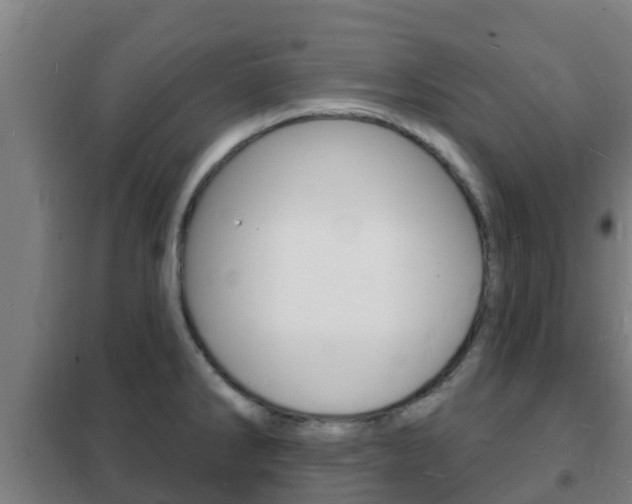 X0000102231286200807250800