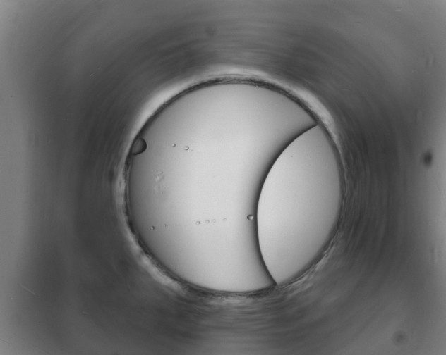 X0000102231287200807250800
