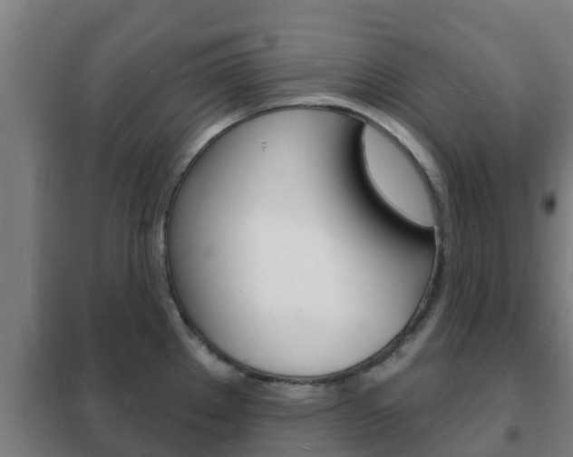 X0000102231289200807250800