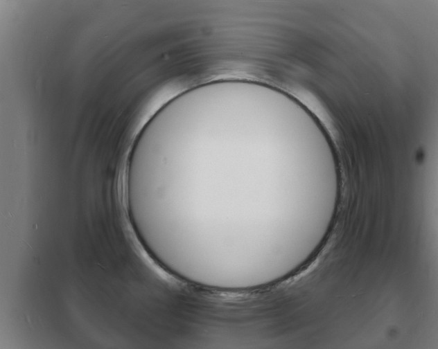 X0000102231290200807250800