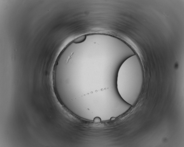 X0000102231291200807250800
