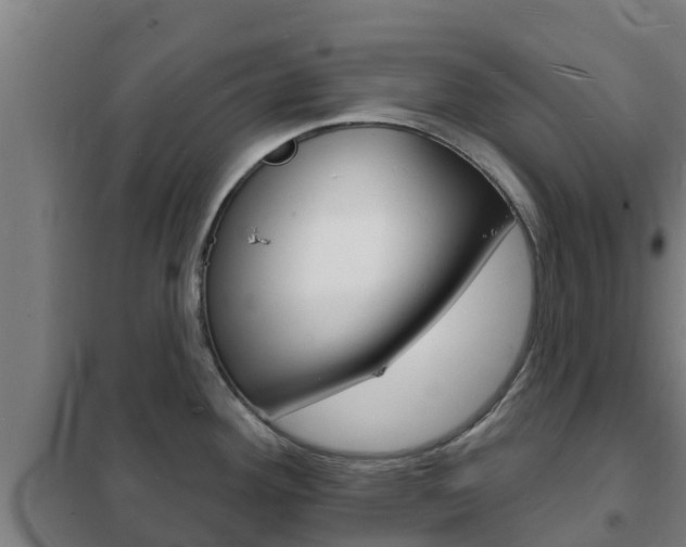 X0000102231292200807250800