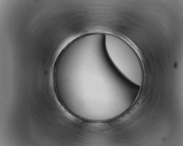 X0000102231293200807250800