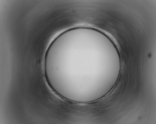 X0000102231295200807250800