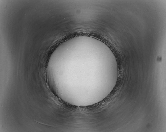 X0000102231297200807250759