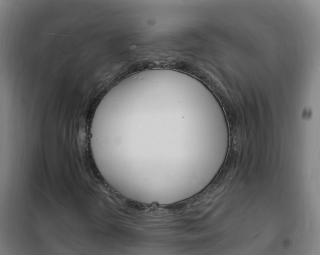 X0000102231298200807250759