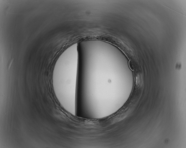 X0000102231299200807250759