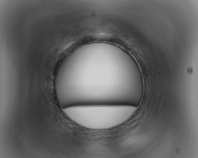 X0000102231301200807250759