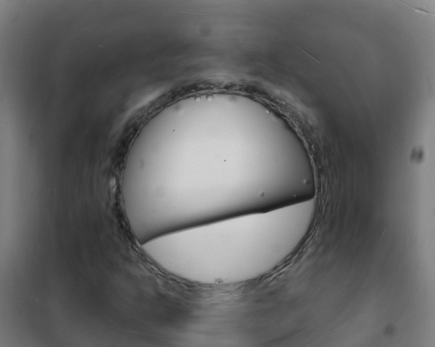 X0000102231302200807250759