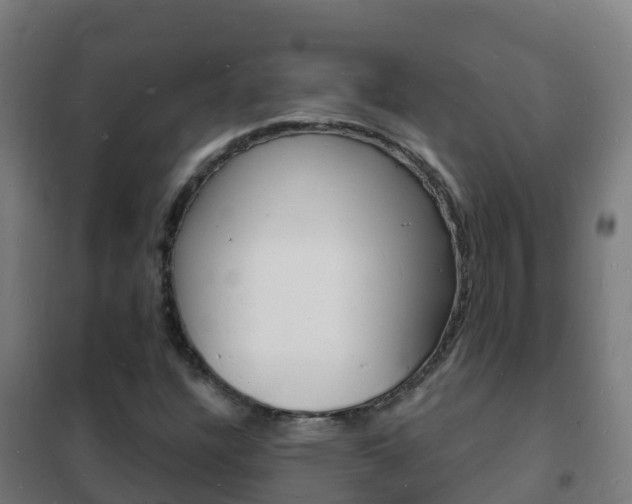 X0000102231304200807250759