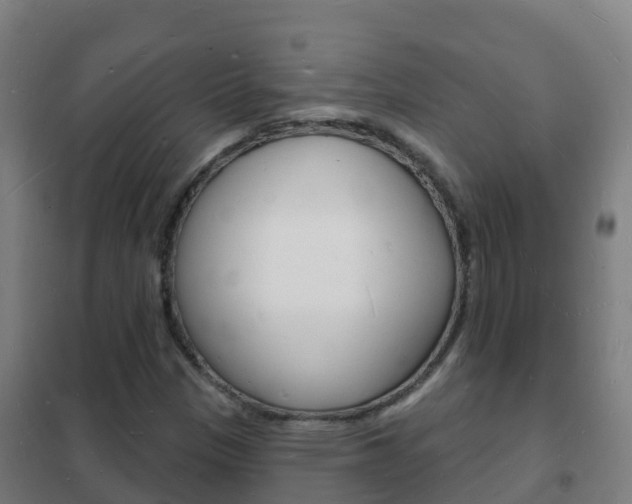 X0000102231305200807250759