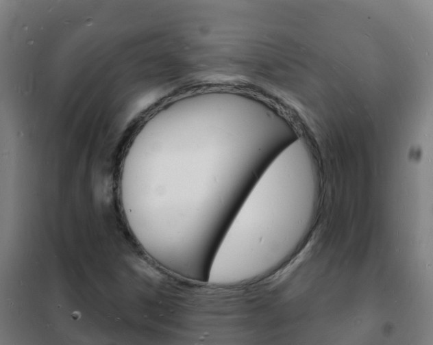 X0000102231306200807250759