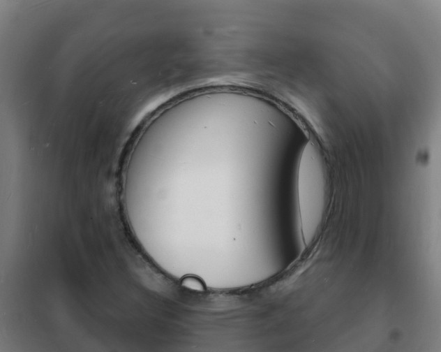 X0000102231308200807250759
