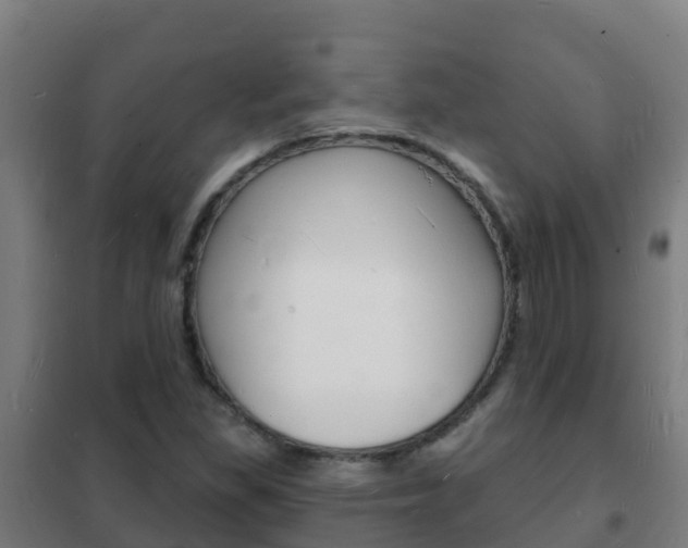 X0000102231309200807250759