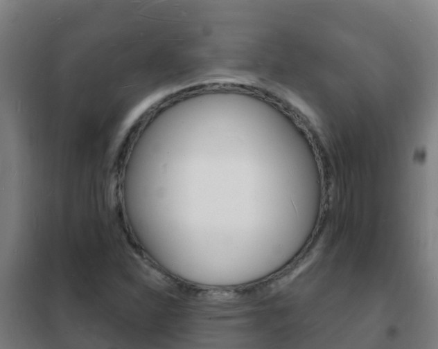 X0000102231310200807250759