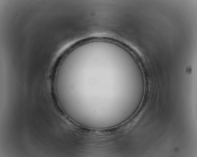 X0000102231311200807250759