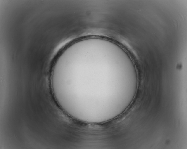 X0000102231312200807250759