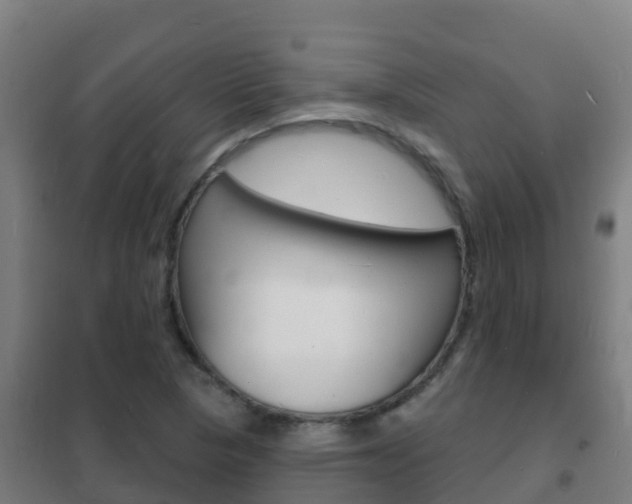 X0000102231313200807250759