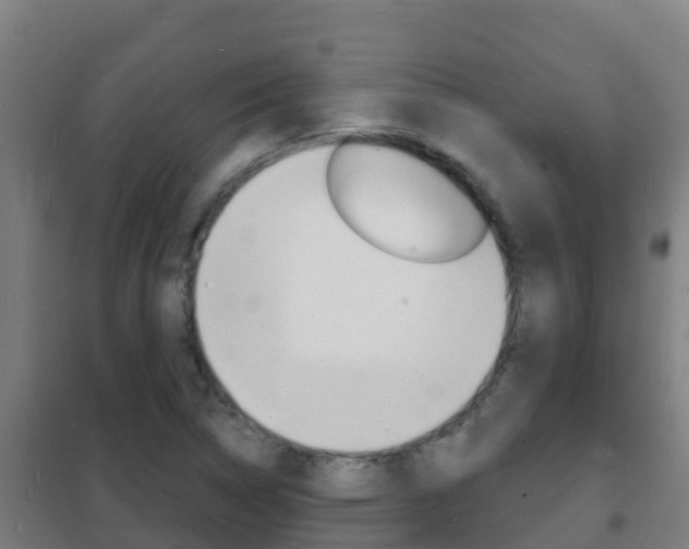 X0000102231314200807250759