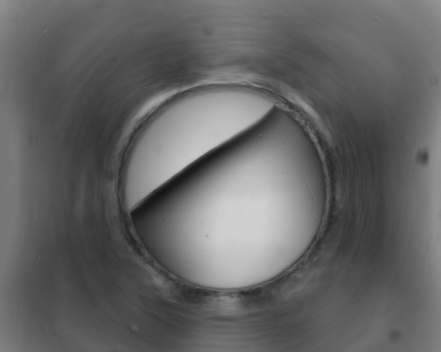 X0000102231315200807250759