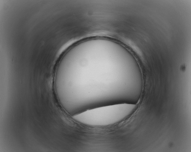 X0000102231316200807250759