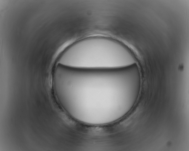 X0000102231317200807250759